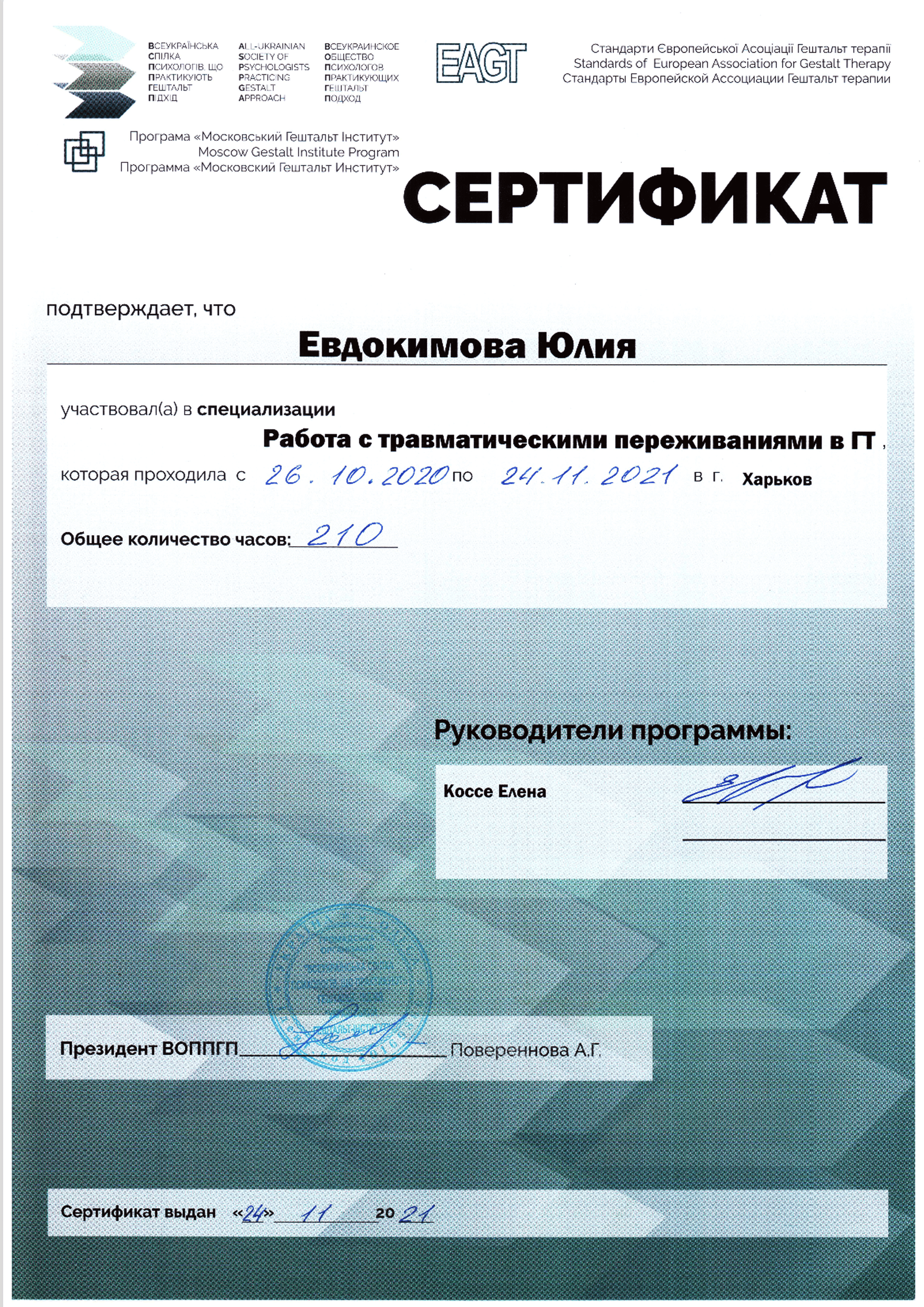 Диплом 11